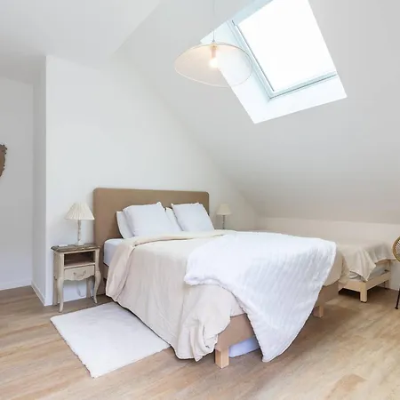 Grand Moderne, Proche Pistes, 8 Pers., Parking Inclus - Fr-1-296-514